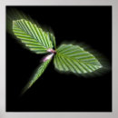 Buscar libélula arte Rosa