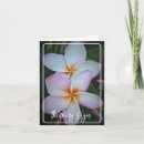 Buscar plumeria tarjetas Hawaii