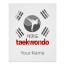 Buscar el taekwondo posters Luchador