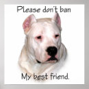 Buscar dogo posters Argentino