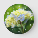Buscar flores azules relojes de pared Madre