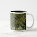 Buscar lexington tazas Ee uu