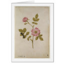 Buscar moyne postales Botánico