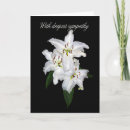 Buscar tigres blancos tarjetas Lirio