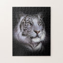 Buscar tigre blanco puzzles Vida salvaje