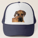 Buscar grano gorras Naturaleza