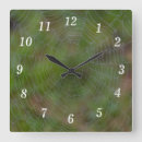 Buscar telaraña relojes de pared Web