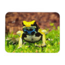 Buscar flecha imanes Amarillo