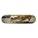 Buscar toro tablas de skate Monopatín
