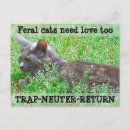 Buscar tnr Gatos salvajes
