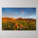 Buscar front posters Landscape