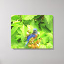 Buscar pájaro azul lienzos Para ellos