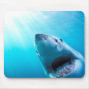 Buscar tiburones alfombrillas de raton Gran blanco