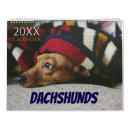 Buscar dachshund calendarios Lindo