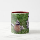 Buscar lemurs Animales salvajes