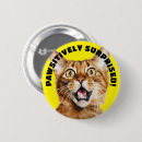 Buscar crazy chapas Divertido