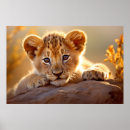 Buscar león posters Salvaje