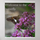 Buscar hábitat posters Mariposa