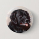 Buscar pintura del perro pins Retrato