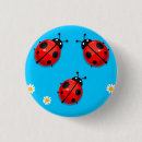 Buscar mariquitas chapas Insectos