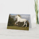 Buscar caballo de salto tarjetas Raza