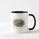 Buscar antártico tazas Antártica