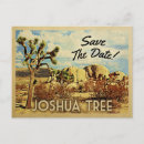Buscar joshua Desierto
