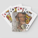 Buscar mustang barajas de cartas Caballo