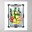 Buscar semillas posters Vintage