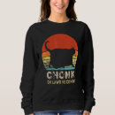 Buscar memes sudaderas Retro