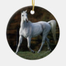 Buscar caballo árabe adornos Sacudida langrish