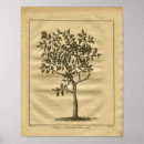 Buscar cultivo arte Árbol