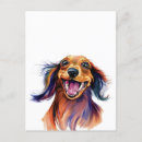 Buscar amante del doxie postales Dachshund