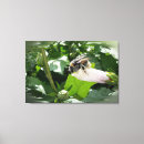 Buscar verde y blanco lienzos Brillante