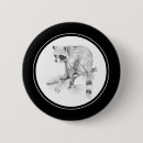 Buscar mapache chapas Fauna