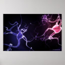 Buscar axon Ilustracion