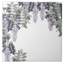 Buscar glicinias azulejos Para ella