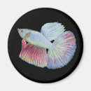 Buscar fish imanes Acuario