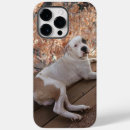 Buscar pitbull iphone fundas Para todos