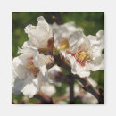 Buscar almendra imanes Floral