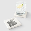 Buscar ardillas posavasos Gris