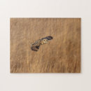 Buscar lechuga puzzles Animal