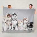 Buscar husky mantas Cachorro