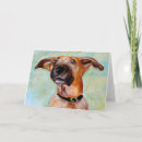 Buscar mezclado la tarjetas Perro