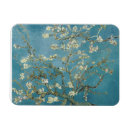 Buscar natural imanes Primavera