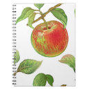 Buscar manzanas rojas cuadernos Rojo