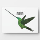Buscar colibríes placas fotograbadas General y unisex