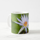 Buscar exótico tazas Hermoso