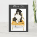 Buscar border collie tarjetas Frontera