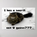 Buscar maine posters Nieve